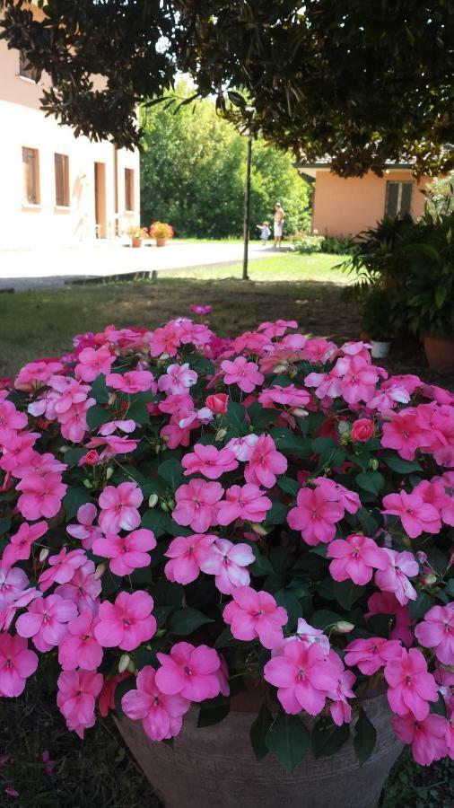 Bed and Breakfast Quo Vadis Qui Vieni Rovigo Exterior foto